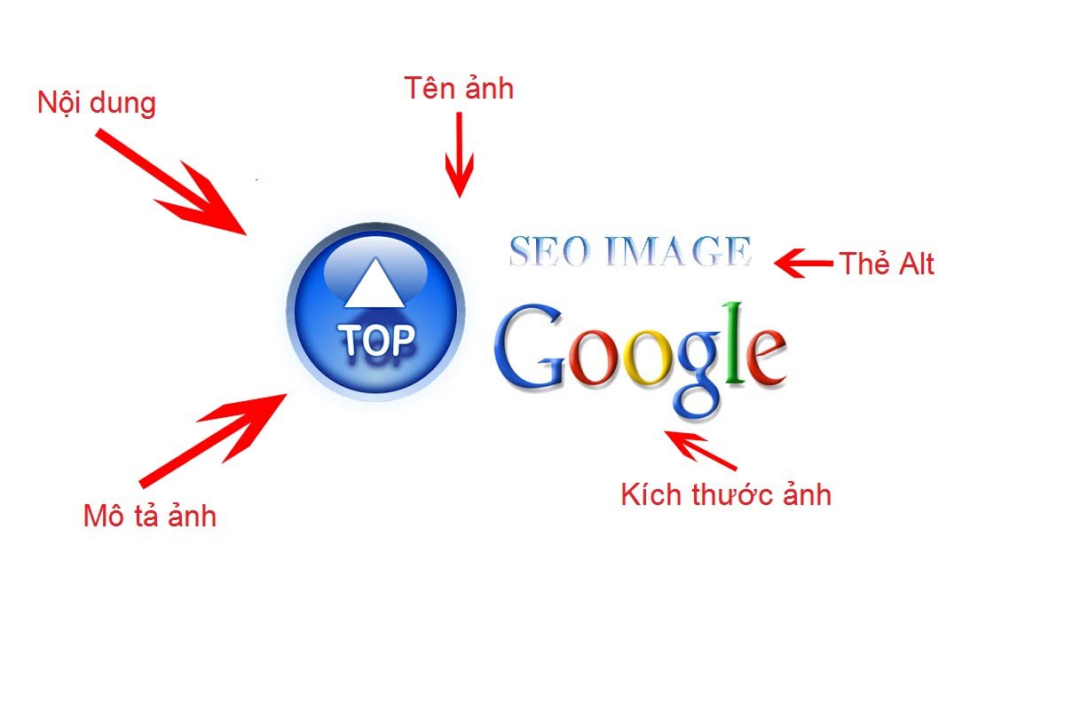 Seo top là gì?