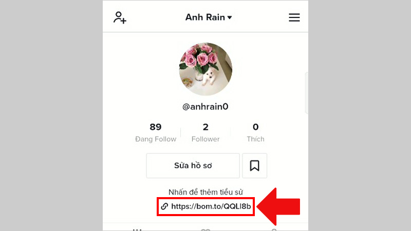 Không thấy link bio trên tiktok phải làm sao?