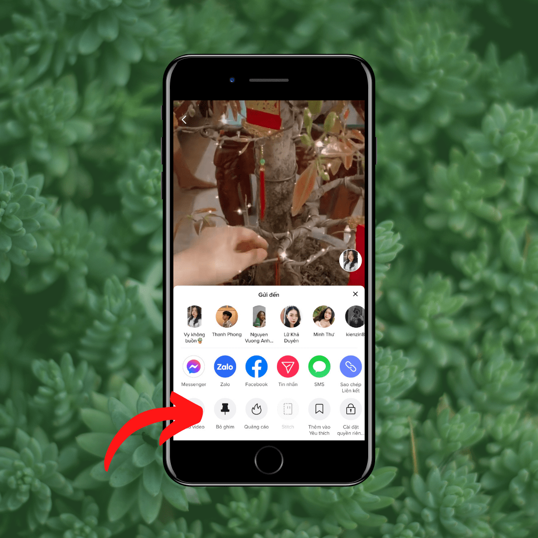 Vì sao TikTok khi không có nút ghim?